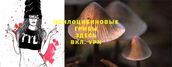 а пвп мука Белокуриха