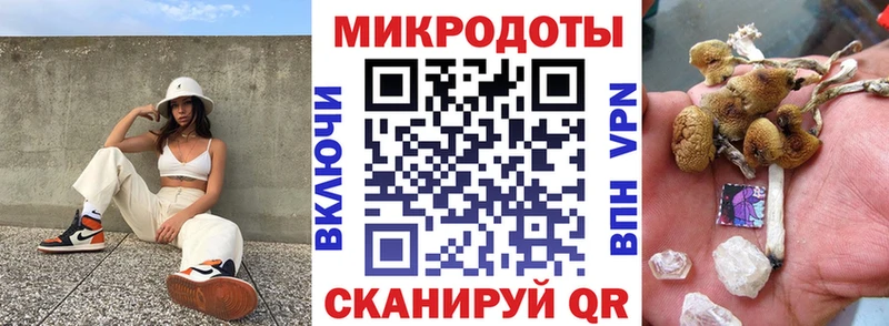 Псилоцибиновые грибы Psilocybe даркнет какой сайт Ковылкино