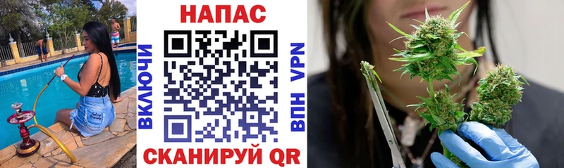 где продают наркотики  Ковылкино  Канабис MAZAR 